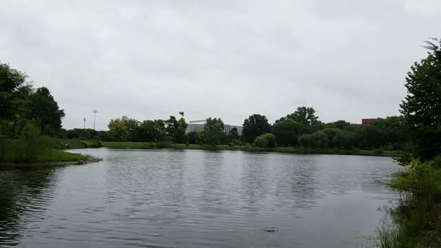 Chadwick Arboretum and Learning Gardens