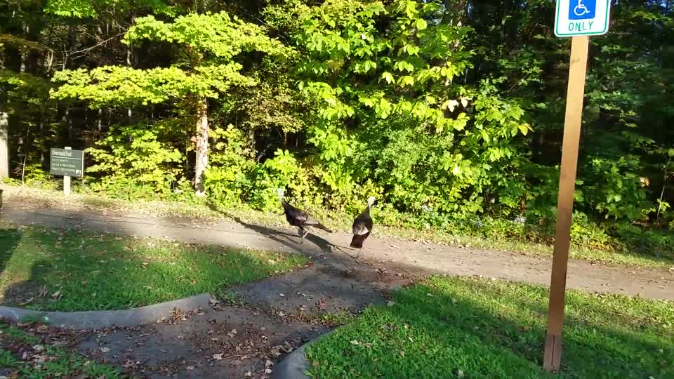 Blendon Woods Metro Park