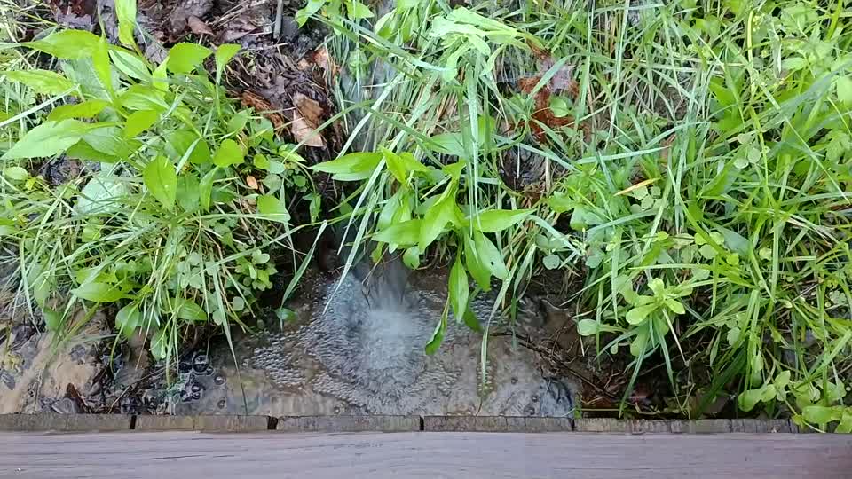 Clear Creek Metro Park