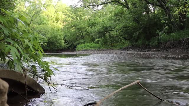 Three Creeks Metro Park