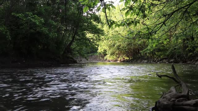 Three Creeks Metro Park