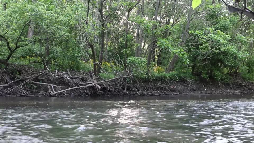 Three Creeks Metro Park