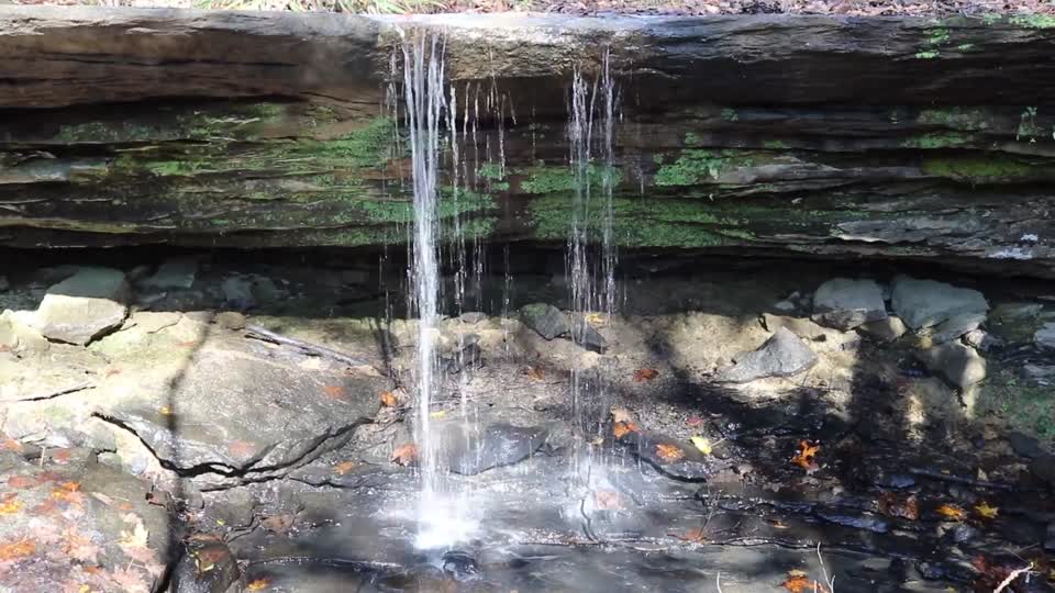 Leo Petroglyphs & Nature Preserve