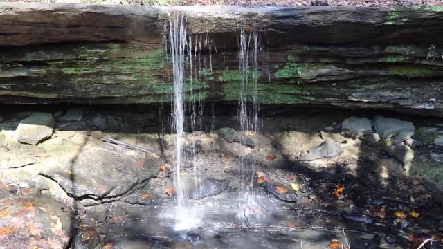 Leo Petroglyphs & Nature Preserve
