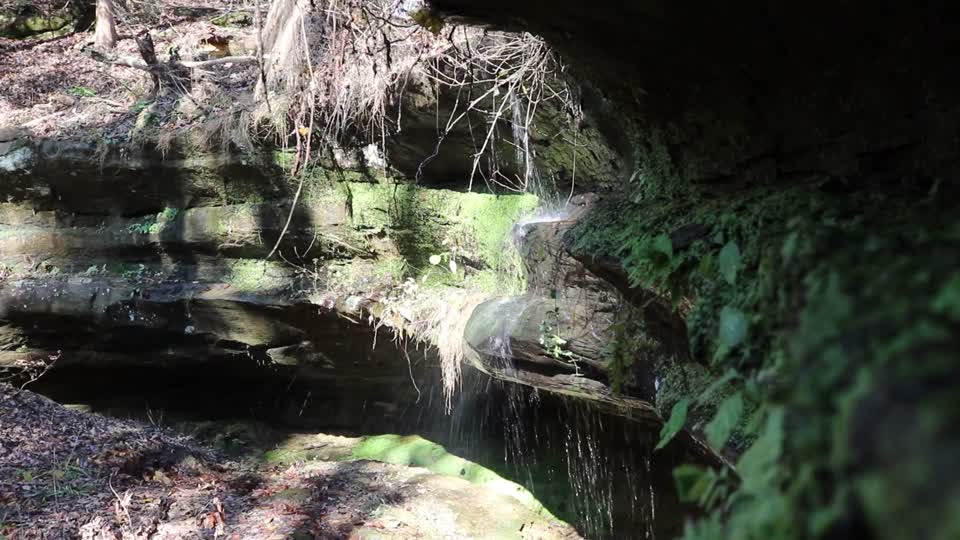 Leo Petroglyphs & Nature Preserve