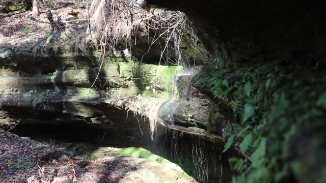 Leo Petroglyphs & Nature Preserve