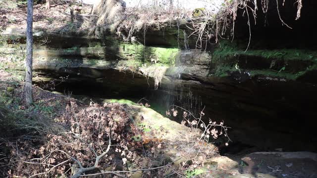 Leo Petroglyphs & Nature Preserve