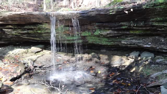 Leo Petroglyphs & Nature Preserve