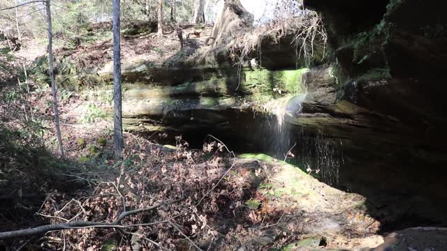 Leo Petroglyphs & Nature Preserve