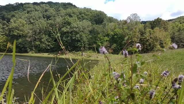 Tar Hollow State Park