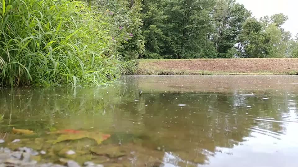 Greenfield Lake Wildlife Area