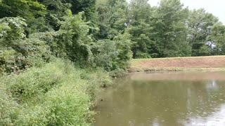 Greenfield Lake Wildlife Area