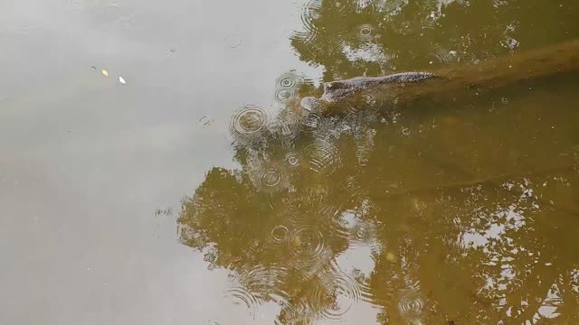 Greenfield Lake Wildlife Area