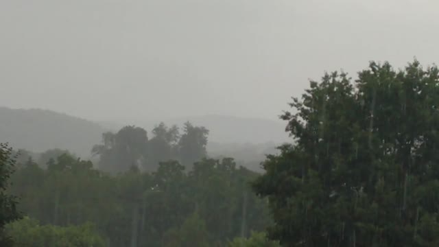 Rain