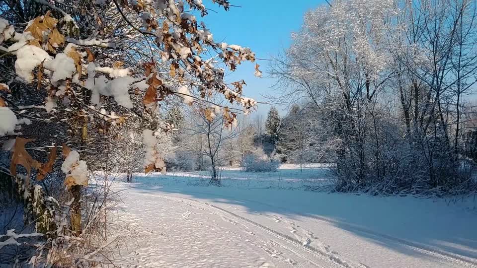 Walnut Woods Metro Park