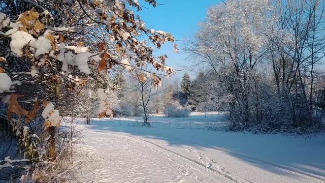 Walnut Woods Metro Park