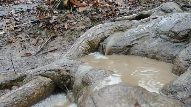 Rockbridge State Nature Preserve
