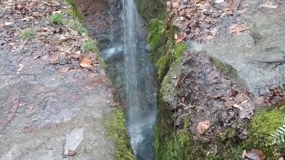 Rockbridge State Nature Preserve