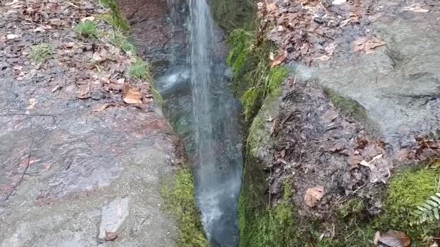 Rockbridge State Nature Preserve
