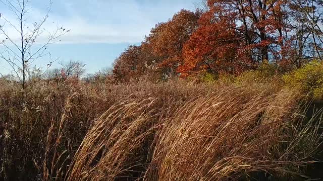 Scioto Grove Metro Park