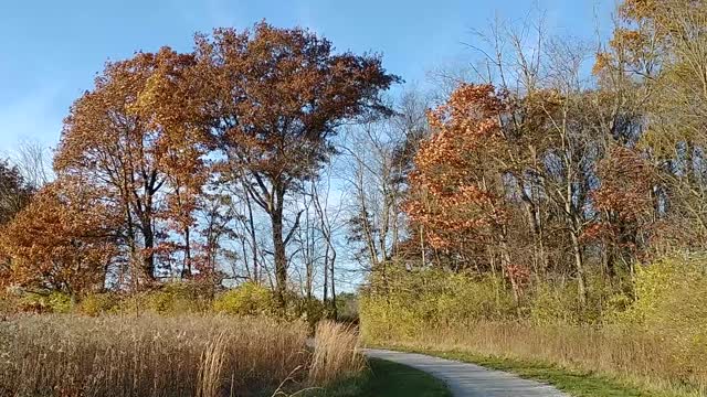 Scioto Grove Metro Park