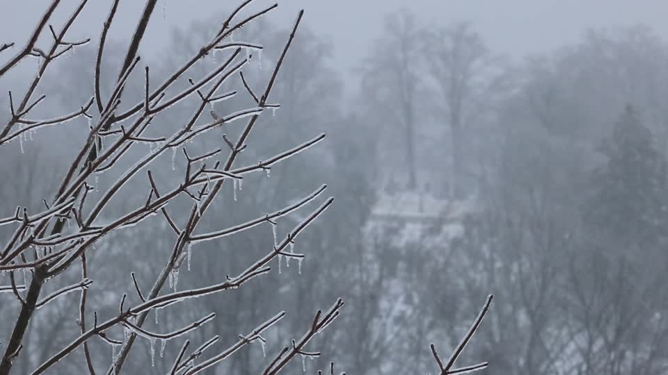 Winter Storm Landon