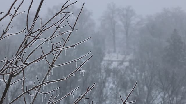 Winter Storm Landon