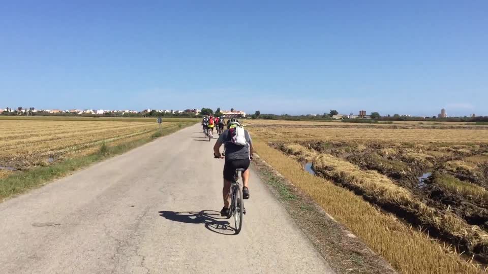 Parc Natural de l'Albufera · El Palmar