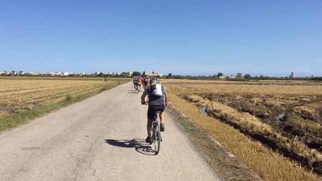Parc Natural de l'Albufera · El Palmar