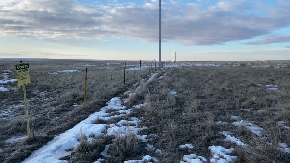 Fence line looking SE
