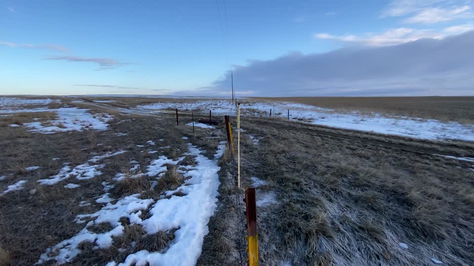 Fence line looking NW