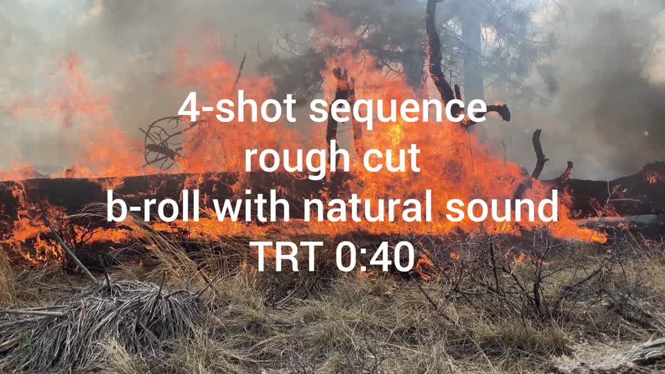 Downed logs burning - 4 shot sequence