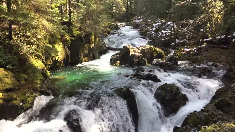 Stream in Opal Creek Wilderness, Willamette National Forest