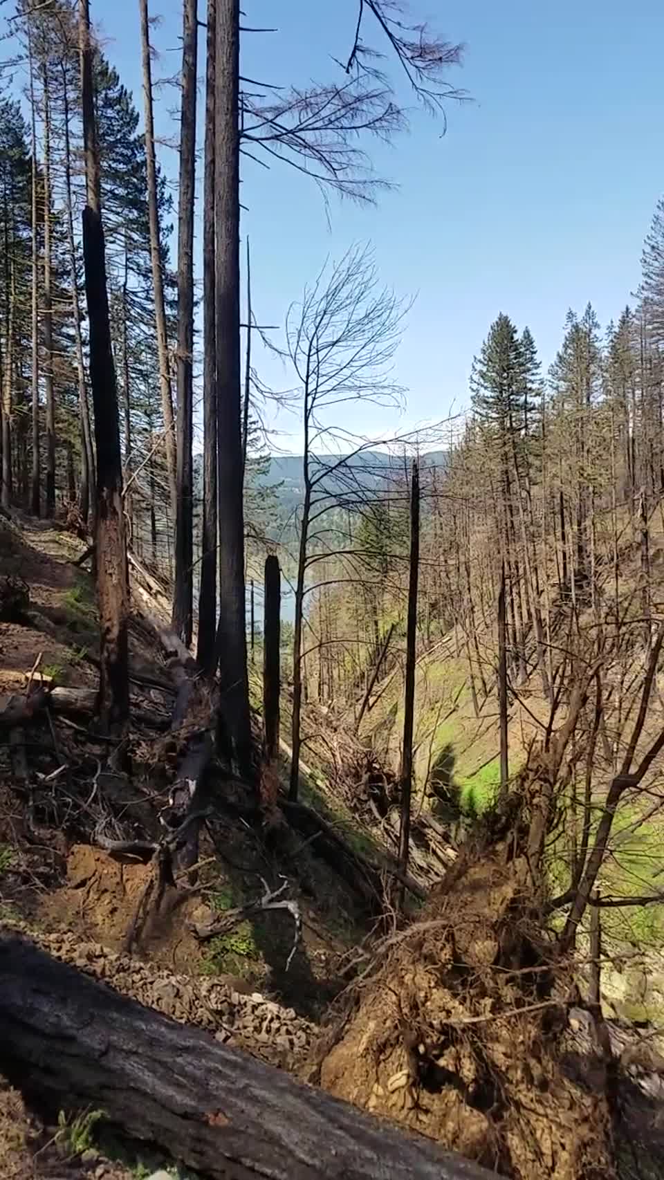Hazards Above Oneonta Gorge on April 25, 2018 by Lillian Palmer Forest Service Public Affairs Specialist.