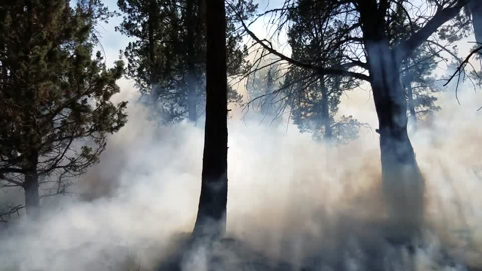 Rock Springs Ranch May 2 2018 (2)