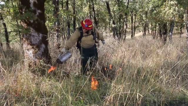BLM-prescribed-fire-2017-OR