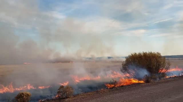BLM-prescribed-fire-2017