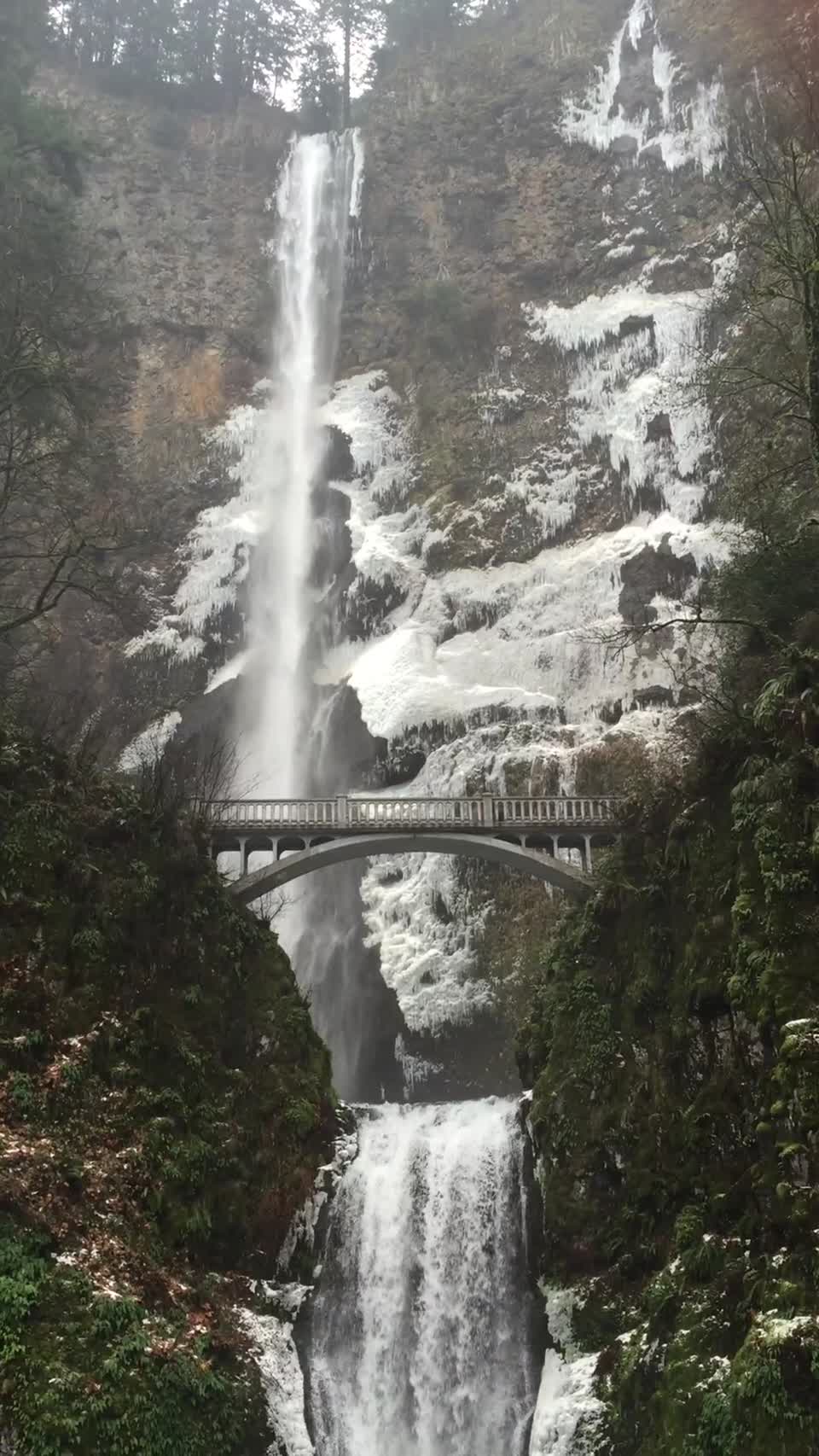 Multnomah Falls in Ice, Columbia River Gorge National Scenic Area