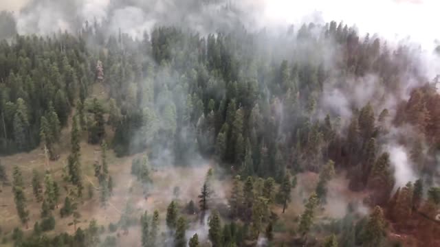 A helicopter flies over the Canyon 66 Prescribed fire