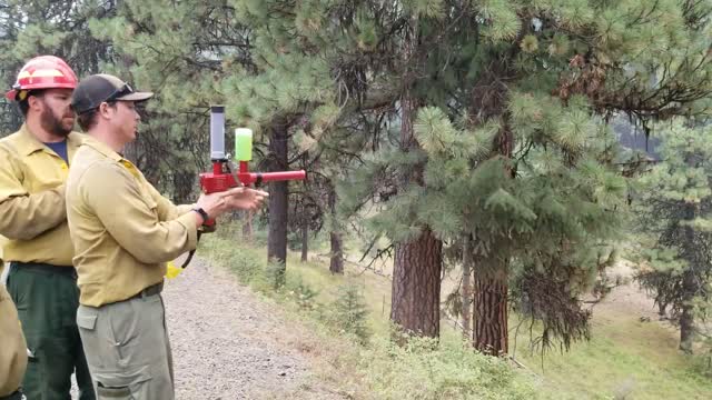 Fire fighters shoot spherical incendiary devices to ignite a section of the Canyon 66 Prescribed fire