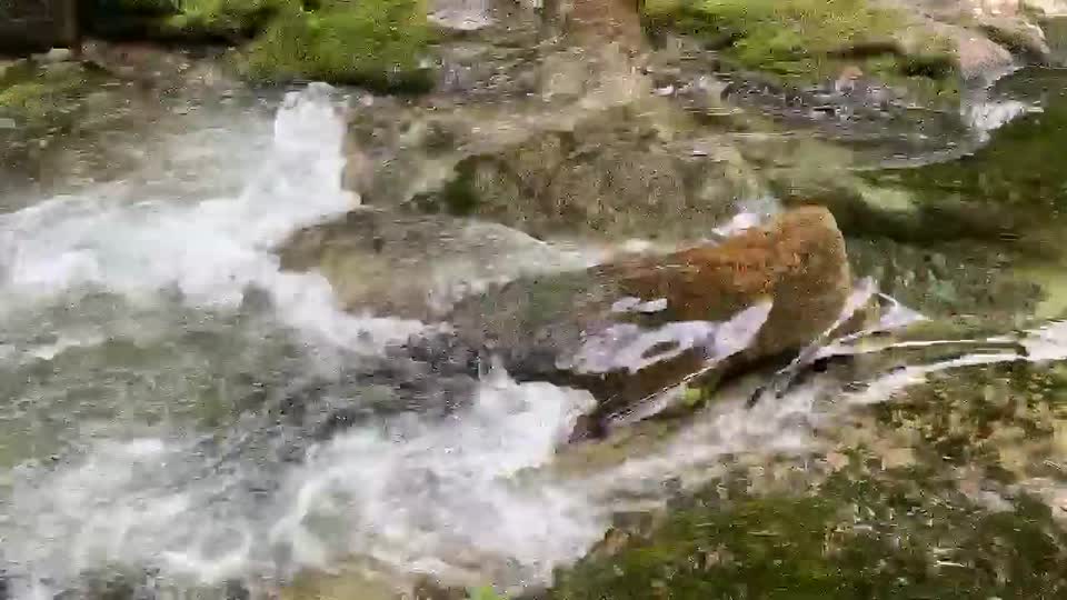 202007-GP-Siouxon Creek-US Forest Service video.