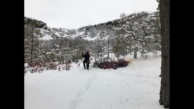 20190227_FS_CRGNSA_Katie Santini at Rowena Dell Pile Burning_RolandRose