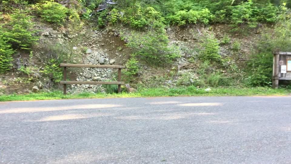 Visitor Looking at Trailhead Sign