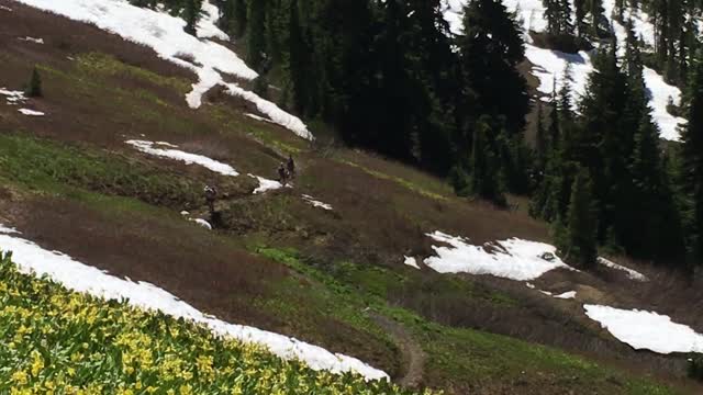 Hikers in the Distance