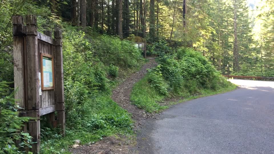 Trail Runners Starting out