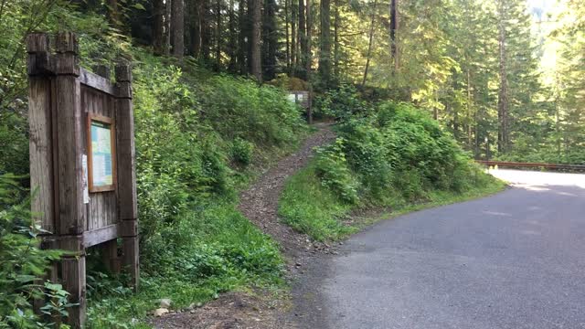 Trail Runners Starting out