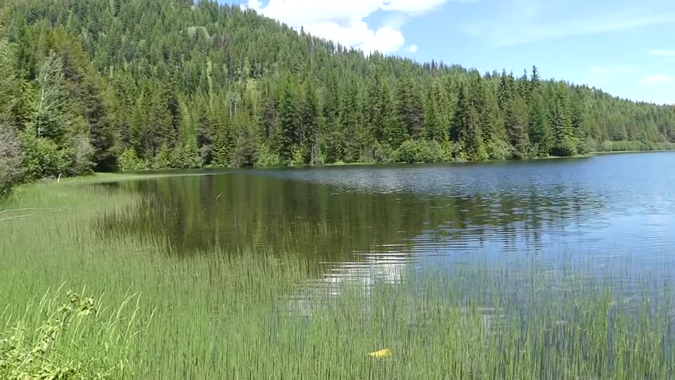 Colville NF Big Meadow Lake June 2020 lake pan B-roll by Sharleen Puckett