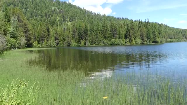 Colville NF Big Meadow Lake June 2020 lake pan B-roll by Sharleen Puckett