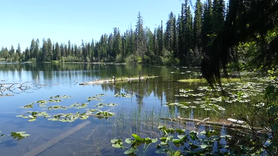 Colville NF Big Meadow Lake June 2020 lake pan2 B-roll by Sharleen Puckett