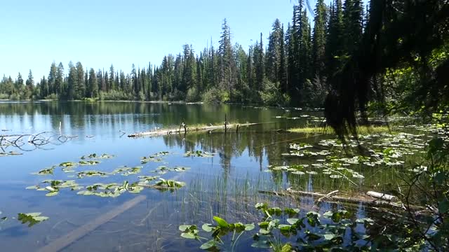 Colville NF Big Meadow Lake June 2020 lake pan2 B-roll by Sharleen Puckett